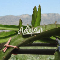 Apadrina una planta