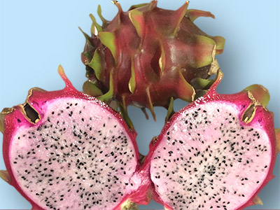 Pitaya Delight