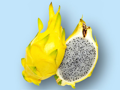 Pitaya Golden Yellow
