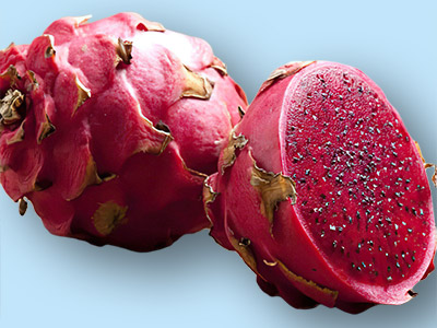 Pitaya JC01